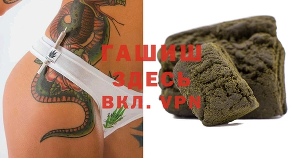 гидра Алексеевка