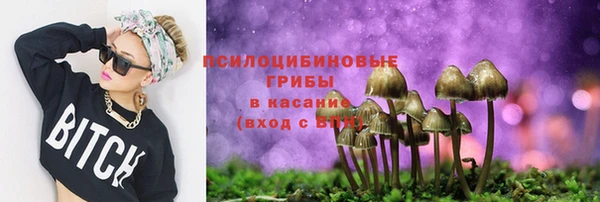СК Алексин