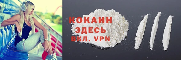 ПСИЛОЦИБИНОВЫЕ ГРИБЫ Дмитриев