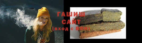 СК Алексин