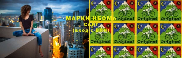 СК Алексин