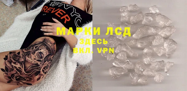 СК Алексин