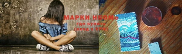 СК Алексин