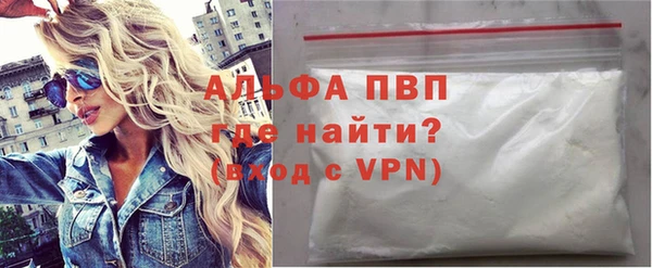 СК Алексин